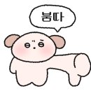 샤브막심(들안길점) 이미지