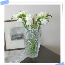 희망의 꿈 이미지