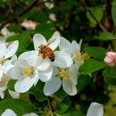 조희대 지귀연 불안한 이유, 유시민 최강욱의 소름돋는 분석 이미지