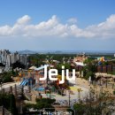 월드호텔 | 제주 호캉스 추천 아이랑 제주도 신화월드 호텔 신화관 투숙 후기