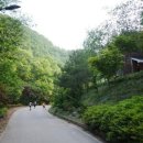 백야자연휴양림 오토캠핑장 이미지