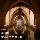H·Y PALACE 호텔 | 스페인 세비야 여행 세비야 알카사르 궁전 현장구매 웨이팅 소요시간