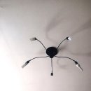 위드해지개 이미지