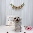 멍앤리치 이미지