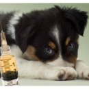 삼송사랑 동물의료센터 이미지