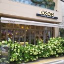 방배천로 24 (4) | [방배동/사당역 카페] 꽃밭 같은 감성카페 오쎄(OSEE) 방문 후기💐(내돈내산)