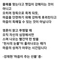 상처가 아무는 시간 이미지