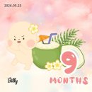 32-33주차 임신기록ㅣ베이비페어 • D-50 • 지방선거🗳️ • 에어컨청소 • 태동검사