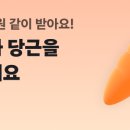 완수농장 이미지