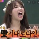 행복애견 이미지