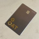 가온트래블 | 해외여행 신용카드 | 신한 더 클래식Y, BC GOAT카드 | 트래블 카드 추천
