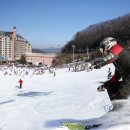 양지파인리조트 이미지