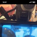 도사정일면 이미지
