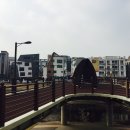 올리앤 이미지