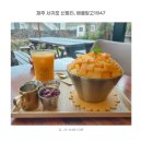 신평리마을회관 | 제주도 서귀포맛집 카페 애플망고1947 시즌빙수 생과주스 웨이팅 가격 후기