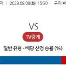 8월8일 남자배구 자료정보 이미지