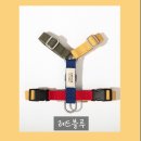 플레이 바우 이미지