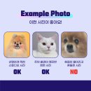 선명한마트 이미지