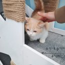 아스클레페이온의원 이미지
