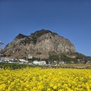 여행을 이야기하다 | 제주도 카니발 투어 친구들과 다녀온 제주 단체여행 후기