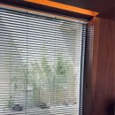 스테이 봄 이미지