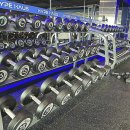 운동메이트 이미지