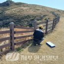 차귀도천연보호구역 | 제주자연유산돌봄센터 ‘차귀도 천연보호구역’, 돌봄 활동