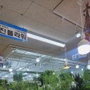 자유시장 앞 | W03-3｜웨딩촬영용 생화부케 자유시장 진플라워 솔직후기
