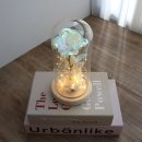 더봄 이미지