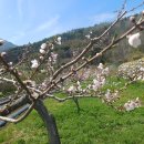 정원농장 이미지