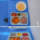 펀피쉬알 | 보홀 펀다이빙 포인트 발리카삭 한인 다이빙샵 문라이트