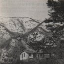 산막사슴농장 이미지