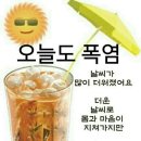 ●간추린 뉴스 및 운세● 이미지