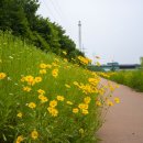 양평교 화장실 이미지