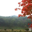 깊이울관광농원(깊이울 캠핑장) 이미지