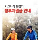 2022~2023년도 시그니아(Signia) 보청기 정부지원금 안내 및 가격표