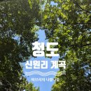 옥이민박 | 청도 신원리 계곡 큰바위 평상&amp;텐트 내돈내산 후기