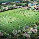 박지성축구센터(망포동) 이미지