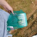 근수농장 | 2019 진도농부 국산 태양초 고춧가루 판매시작