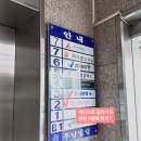 호호렌즈 이미지