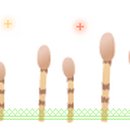 회천1동 주민자치센터 이미지