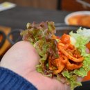 오로지김치찌개 이미지