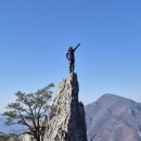 가지산 - 중구 | 가지산