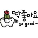 쌍문경희태권도 이미지