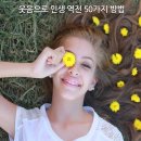 인생역전 이미지