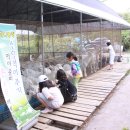 하나농장 이미지