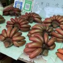 토루 | 중국 샤먼 차이나스토리 남정 토루 투어, 내돈내산 솔직후기