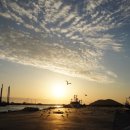 한림매일시장 이미지