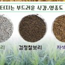 영종도농산물곶간꿩골자연농장