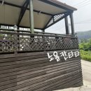 노을칸타타 | [노을칸타타] 강화 수영장 펜션 추천, 애견동반가능 펜션, 강화여행, 인천가족여행, 인천친목여행